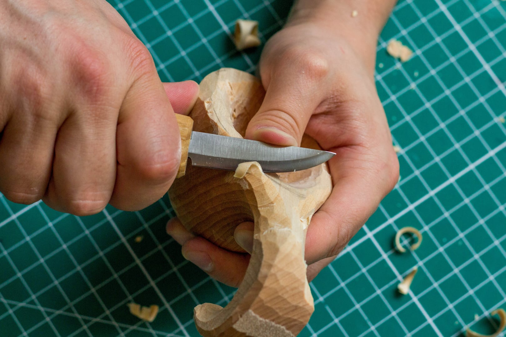 BeaverCraft S38 Premium Spoon Carving Kit with Leather Strop