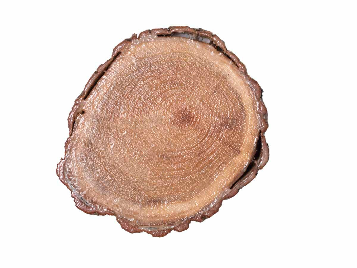 Chestnut Wood End Seal 1 Liter: Crack Prevention for Fresh, Dry Timber